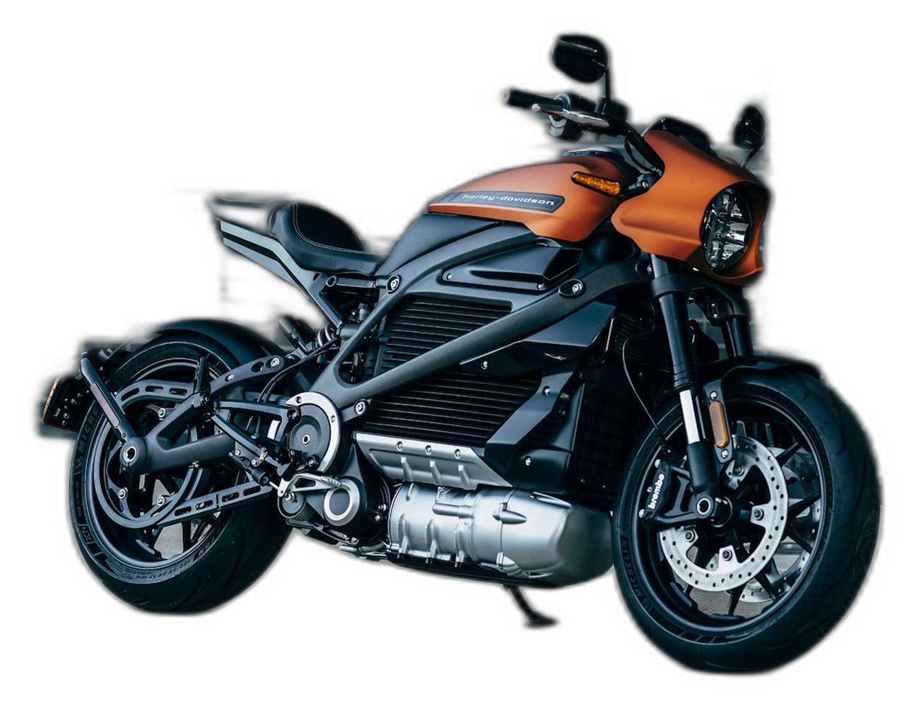 Electric motorcycle
